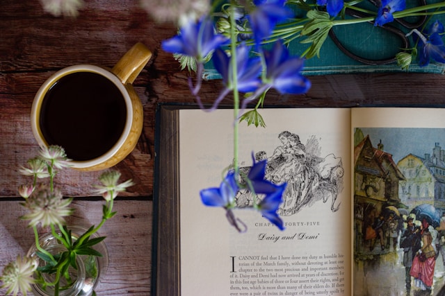 Enhance Learning: The Power of Illustrated Books